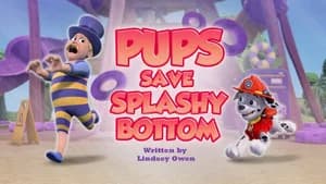 Pups Save a Splashy Bottom