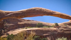 Arches