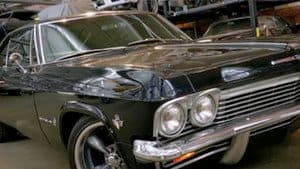 Night Prowler