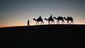 ...Only silk was transported on the Silk Road?