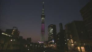 One Tower, Many Lives