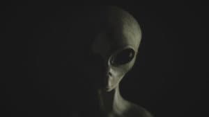 UFO Sightings