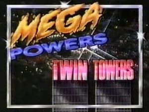 February 11, 1989 - Superstars of Wrestling 128