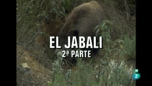 The Wild Boar II