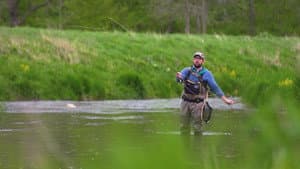 Forage, Fish, Eat