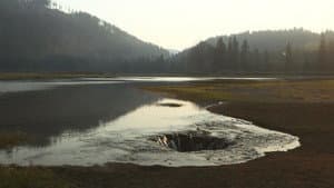 Japanese Fly-fishing, Lost Lake, Festival of Speed.