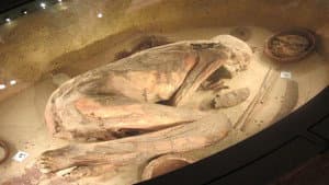 The Treasures of the Egyptian Museum of Turin (Second Version)
