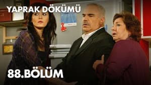 Episode 88
