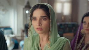Seher's suspicions