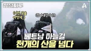 Episode 31