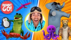 The Animal Dance Game!
