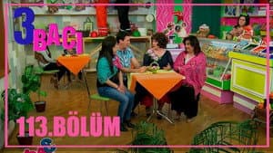Episode 113