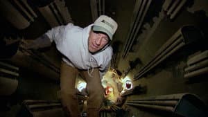 Egg Farm