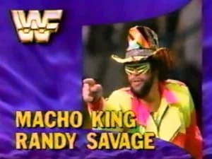 October 6, 1990 - Superstars of Wrestling 214