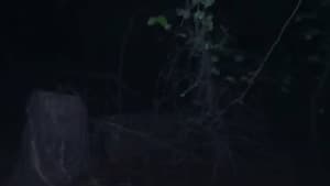 Part 5