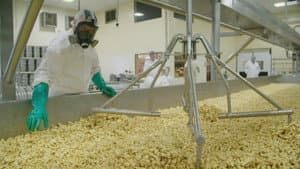 Deer Creek Cheese | 3 Sheeps Brewing