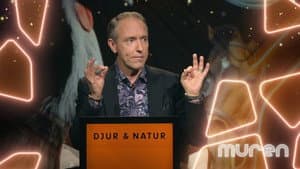 Jämnt  Skägg.