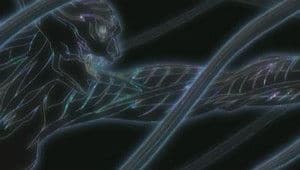 Those Who Rend Asunder II