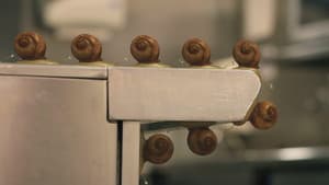 Twelve angry snails