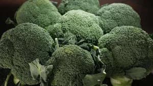 Broccoli