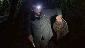 Episode 8