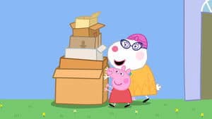 Cardboard Boxes
