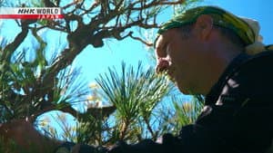 Handcrafting the Beauty of Nature