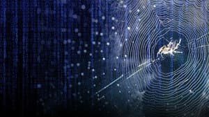 Web of Control