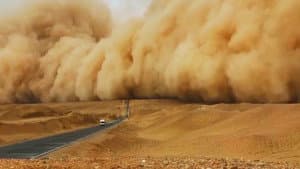 Desert Mysteries