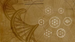 Harmonious Fractals