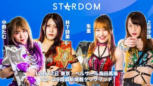 Stardom Year-End Fan Meeting