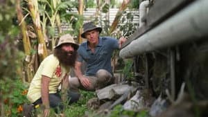 Episode 36 Native Daisies, Sustainable Garden Design & Soil Science