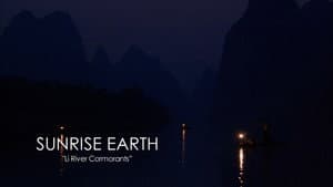 Li River Cormorants