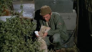 Private Charles Lamb