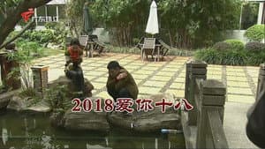 Episode 3304