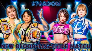 Stardom in Kyoto 2024