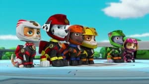 Moto Pup: Pup Save a Sneezy Chase