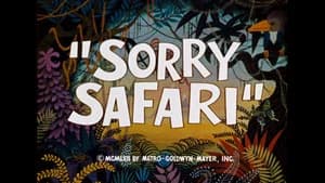 Sorry Safari