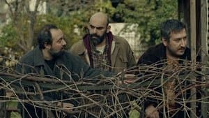 17 Conversations with Çağrı