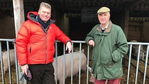 Wiltshire
