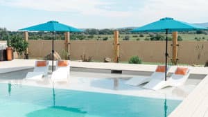 A Natural Pool Oasis for All Seasons