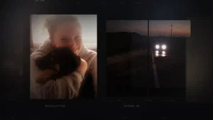 The Mystery on Albion Road; The Girl Who Didn't Exist
