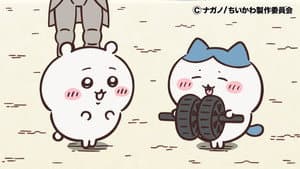Episode 290