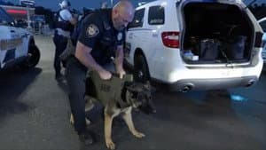 Officers Threatened