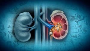 Urology