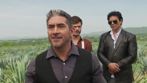 Episode 80