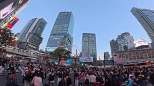 Shibuya – The Labyrinth Nestled Within a Valley