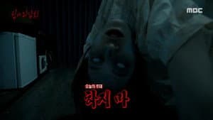 Episode 29