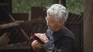 The Chicken Thief