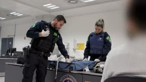 In the Name of the Law